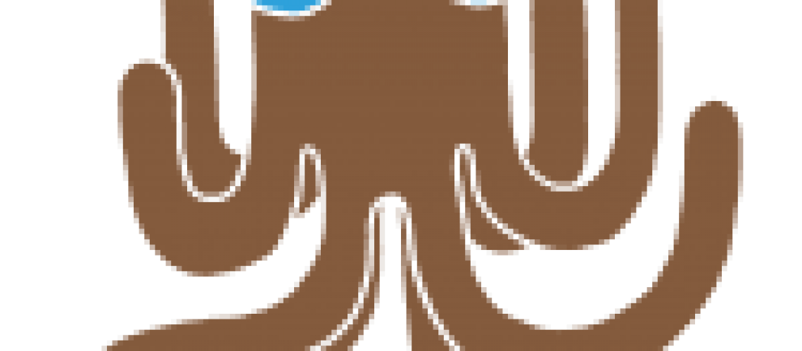 octopus_visuel_seul